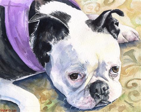 Boston Terrier Watercolor Print Of The Original Painting Art