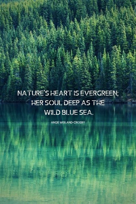 Nature Quote With Evergreen Trees And A Reflectionnatures Heart Is