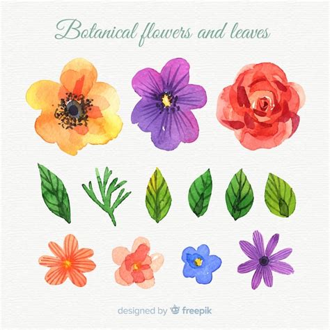 Free Vector Watercolor Botanical Flowers And Leaves