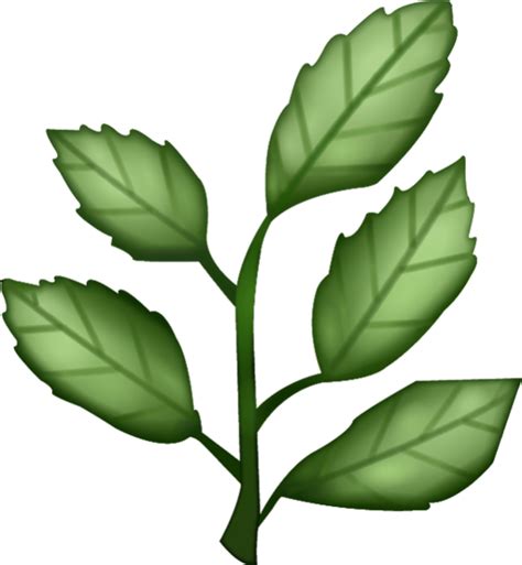 Download Herb Emoji Image in PNG | Emoji Island Others are created to show that you are surprised about something or that you are sad and want to do something else.