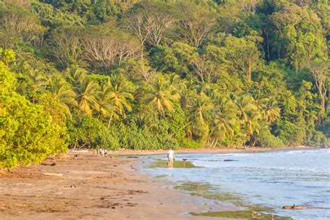 Playa Hermosa En Costa Rica Pacific Coast Stock Photo Image Of
