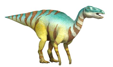 352 empire blvd., rochester, ny 14609 phone: Edmontosaurus | DinoPedia - The Dino Dan Wiki | Fandom ...
