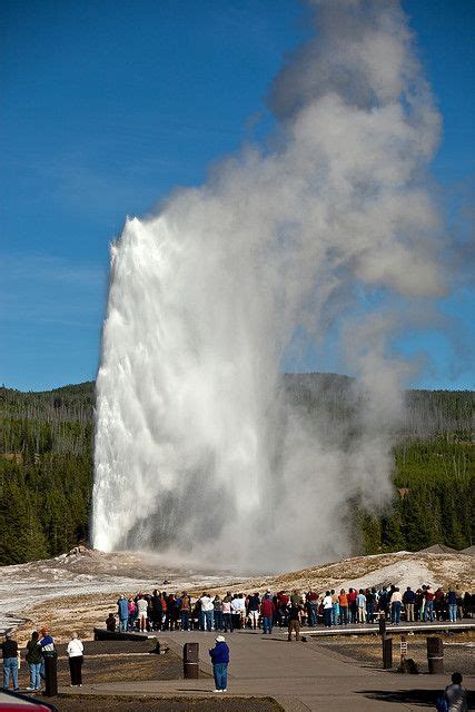 old faithful geyser erupting yellowstone national park national parks yellowstone national