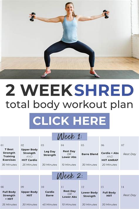 2 Week Workout Plan At Home Homeplanone