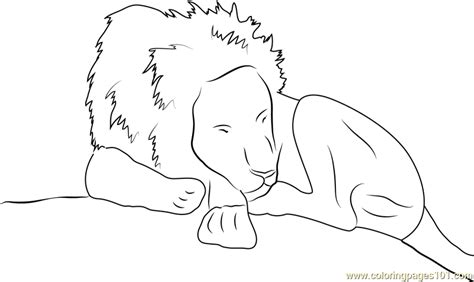 Have them tape their teal feathers to the wings. Lion Sleeping Coloring Page for Kids - Free Lion Printable ...