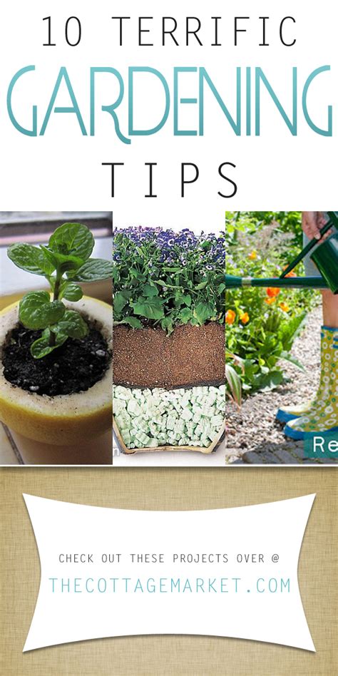 10 Terrific Gardening Tips The Cottage Market