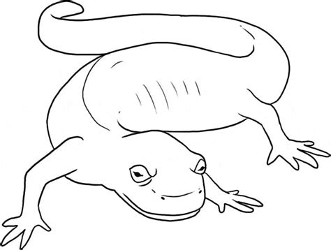 Choose a coloring page that's best for your needs and make it your own. Salamander coloring page - Animals Town - animals color ...