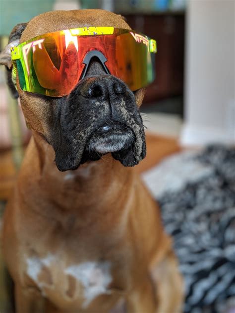 Click here to read more! The 1993 Polarized Double Wide | Pit Viper Sunglasses in ...