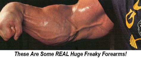 Huge Freaky Forearms Workout — Lee Haywards Total Fitness Bodybuilding