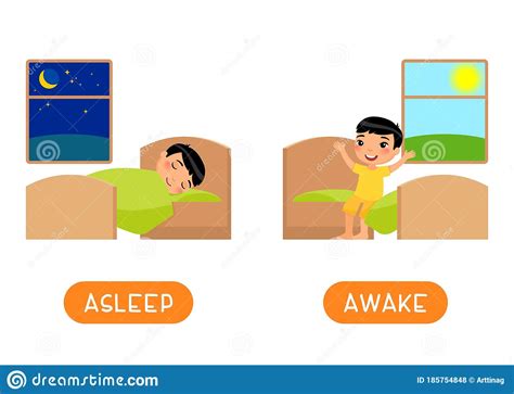 Antonyms Concept Asleep And Awake Educational Word Card With