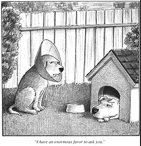 Larry Miller Website Classic New Yorker Cartoons