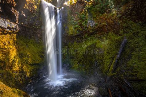 Falls Creek Falls Ford Pinchot National Forest Washington Stock