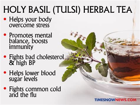 Is Work Anxiety Leaving You Stressed Tulsi Tea Holy Basil To The