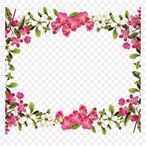 Paper Borders And Frames Flower Rose Clip Art Flower Border Png Pink
