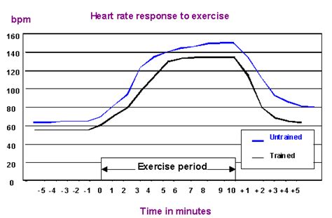 With your heart rate, you'll know how effective your fitness session has been and how. Heart Rate - Body Systems and energy for physical activity