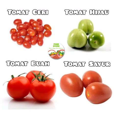 Tomat Buah Dan Tomat Sayur