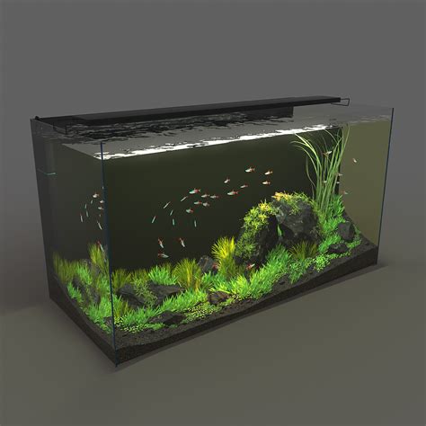 Aquarium Rectangle 120l 32g 3d Model Download Royalty Free Fish 3d