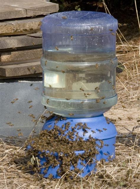 Syrup Delivery An Overview Of Honey Bee Feeders Cookeville