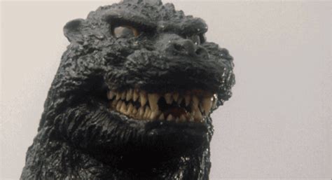 Kong is an upcoming 2021 american science fiction monster film produced by legendary pictures, and the fourth entry in the monsterverse. Kaiju-ERA, what's your favorite Godzilla design? | ResetEra