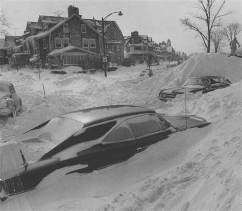 The Blizzard Of 77 Buffalos Storm For The Ages