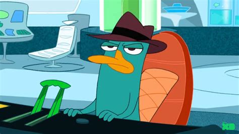 Perry The Platypusagent P Wiki Phineas And Ferb Amino