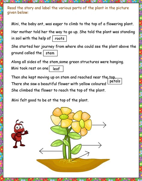 In this blog, we are providing some worksheets for parents and teachers who are in search of free pdf downloadable worksheets for lower kindergarten (lkg) students. UKG : Science : General Knowledge
