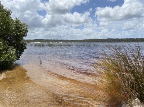 Best Of The Fraser Island Great Walk 3n4d Fraser Dingo 4wd