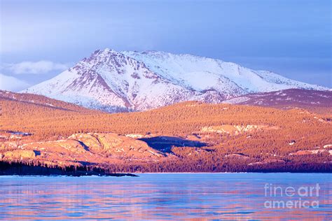 Snowy Mt Laurier Frozen Lake Laberge Yukon Canada Photograph By Stephan