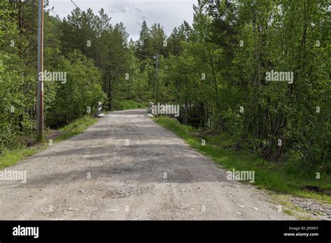 Dirt Gravel Road Forest Stock Photo Alamy