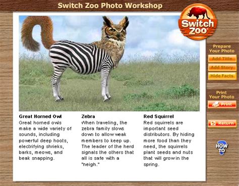 8 Top Websites Where Kids Can Learn About Animals Scholastic Parents