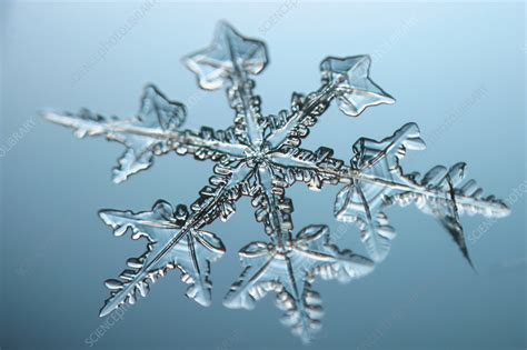 Snowflake Stock Image E1270494 Science Photo Library