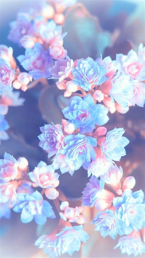 Blue Aesthetic Flowers Wallpapers Wallpaper Cave