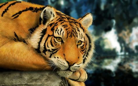 1920x1080px Free Download Hd Wallpaper Tiger Hd Animals