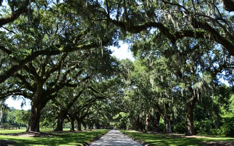 First Timers Guide To Charleston