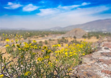 ¿que significa equinoccio de primavera?, la definición de equinoccio de primavera: Equinoccio de primavera | ¿Qué significa y cuándo es? Datos y tradiciones