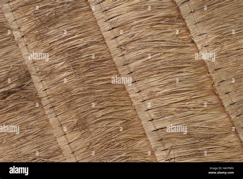 Straw Roof Texture Background Stock Photo Alamy