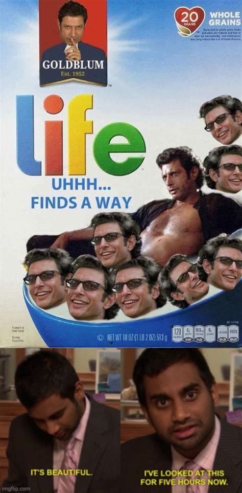 Life Uhh Finds A Way Imgflip