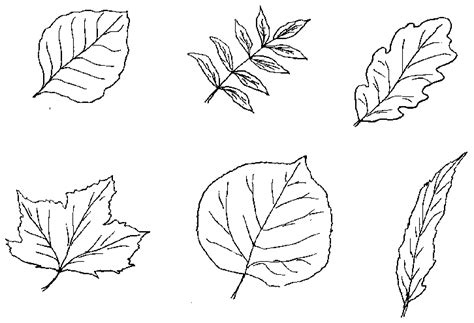 Spring colouring pages