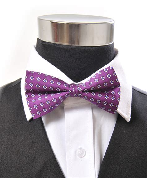 Banded Silk Printed Bow Tie Sbb2040