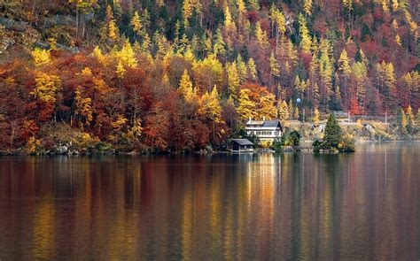 Wallpaper Trees Landscape Colorful Forest Fall Lake Water