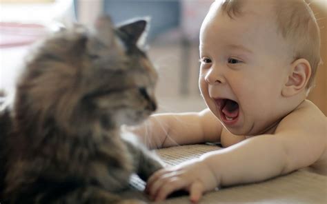 Funny Baby Wallpapers Top Free Funny Baby Backgrounds Wallpaperaccess