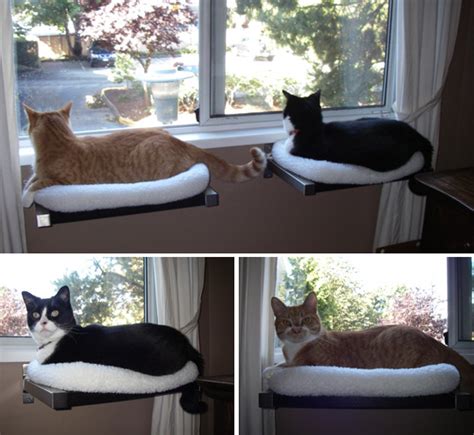 It holds up to 35 lbs measuring 24″l x 15″w. Hilary's DIY Window Perches With Cozy Fleece Beds ...