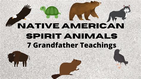 Native American Spirit Animals 7 Grandfather Teachings Powwow Times