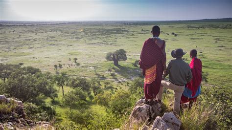 Elewana Tarangire Treetops Tarangire National Park Tanzania Hotel