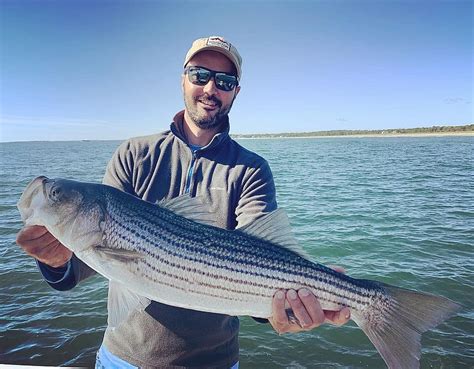 Full Day Portland Maine Inshore Striped Bass Fly And Light Tackle