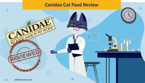 Reviews of the 3 best canidae cat food recipes 1. Unbiased Canidae Cat Food Review 2021 - We're All About Cats