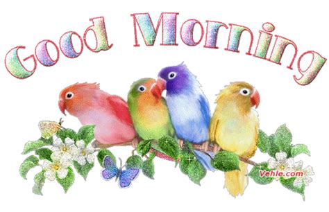 Good Morning Animation Images Bird Sound Effect