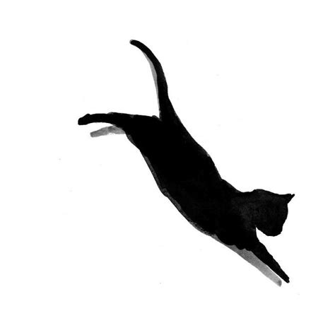 Sushi The Black Cat By Laurie Rollitt Black Cat Drawing Black Cat Art