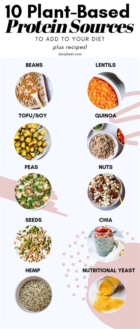 10 Plant Based Protein Sources To Add To Your Diet Plant Based