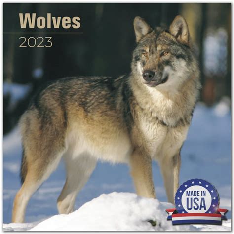 2022 2023 Wolves Calendar Wildlife Monthly Wall Calendar 12 X 24